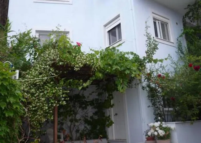 Apartment Seaside In Agia Effimia